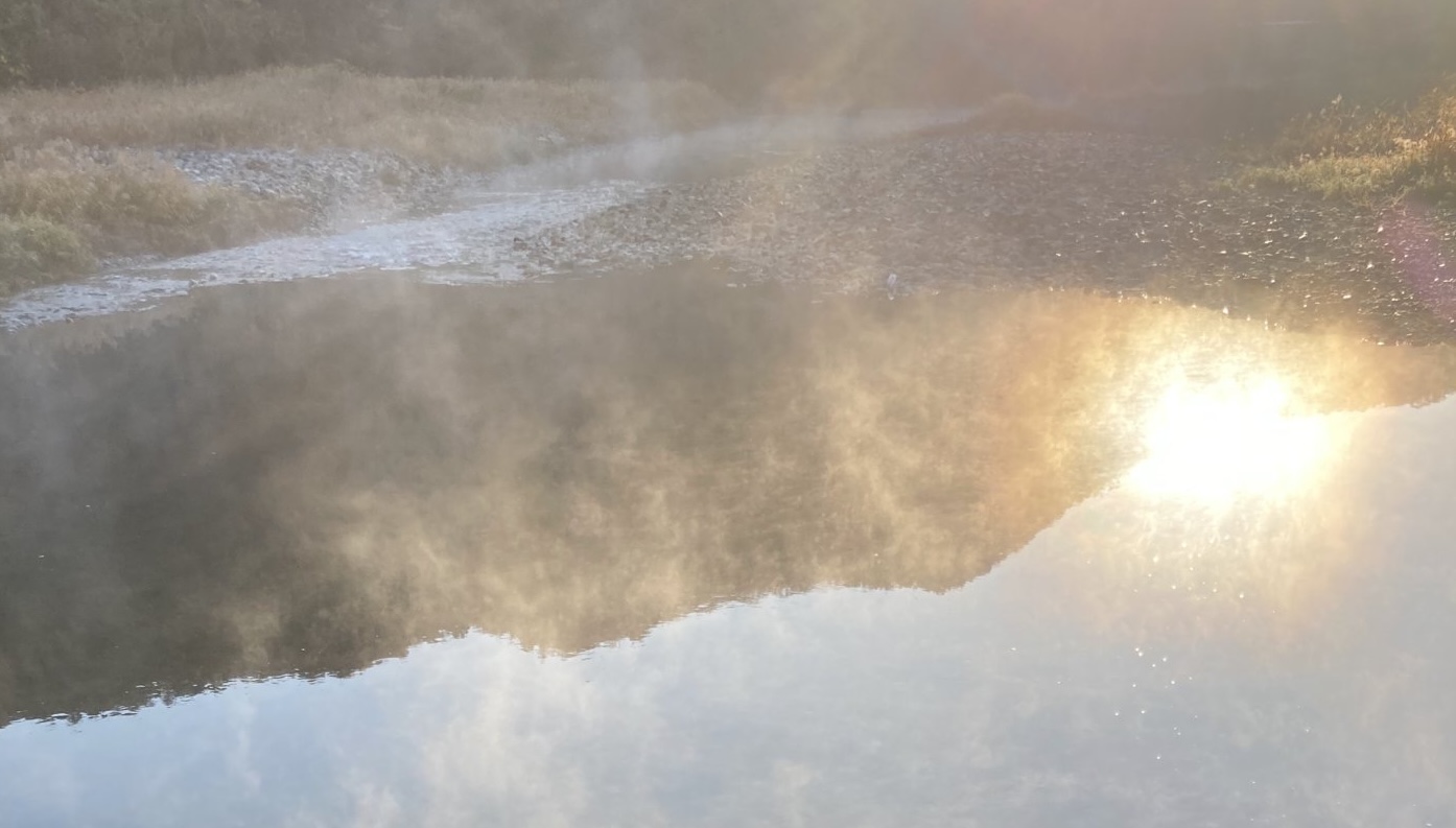 ややまるの豆記録物語